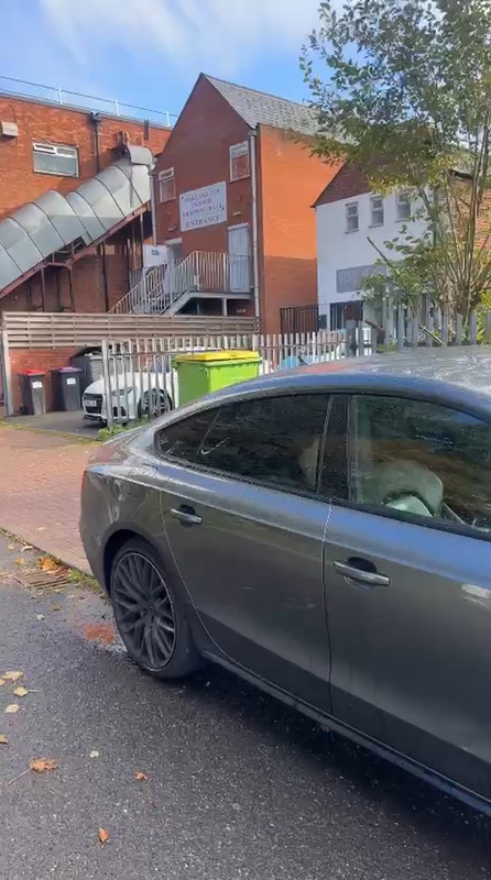 Robin's Audi A5, car insurance customer story